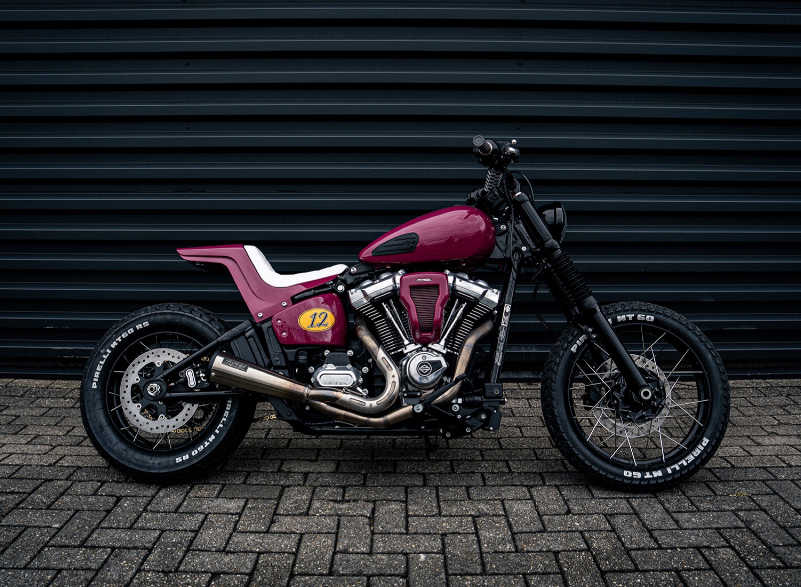 Street Bob Vector
